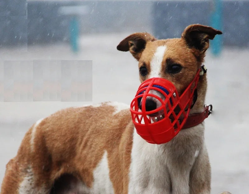 Adjustable plastic dog muzzle – anti-biting and anti-barking basket-style mouth cover for dogs in sizes S/M/L.