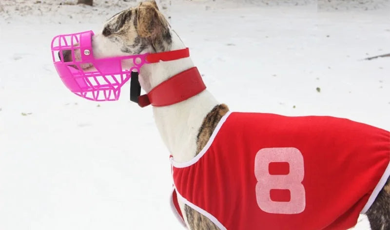 Adjustable plastic dog muzzle – anti-biting and anti-barking basket-style mouth cover for dogs in sizes S/M/L.