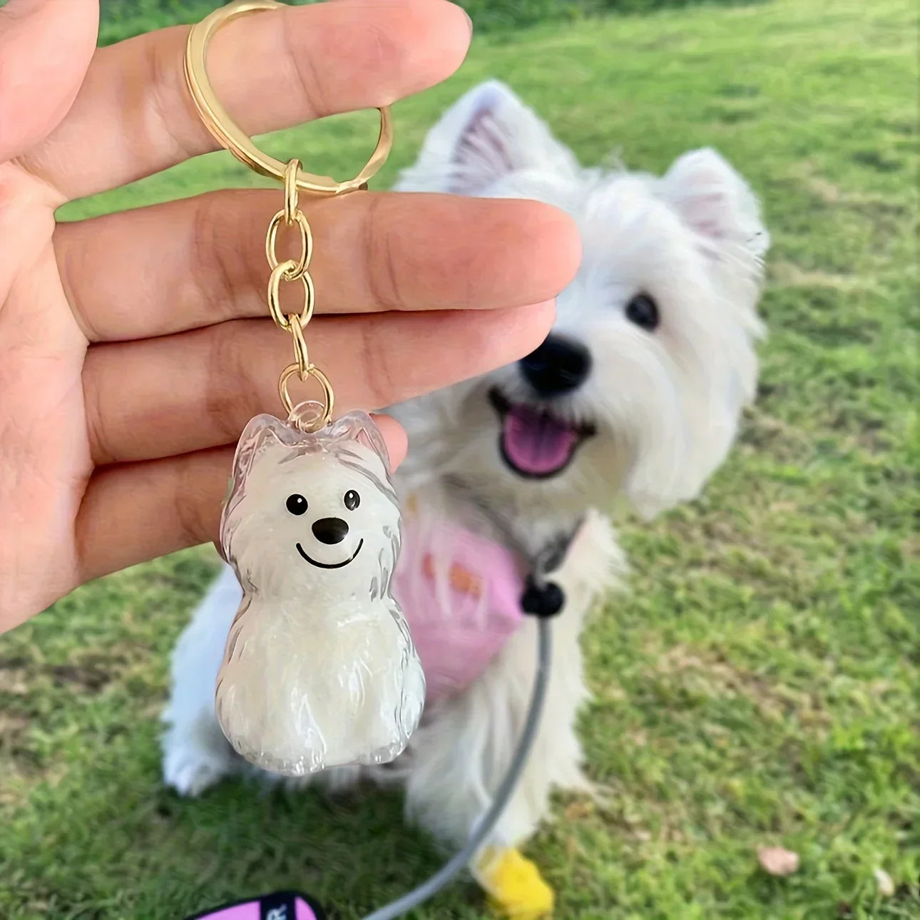 **Pet Hair Keepsake Capsule Keychain **
