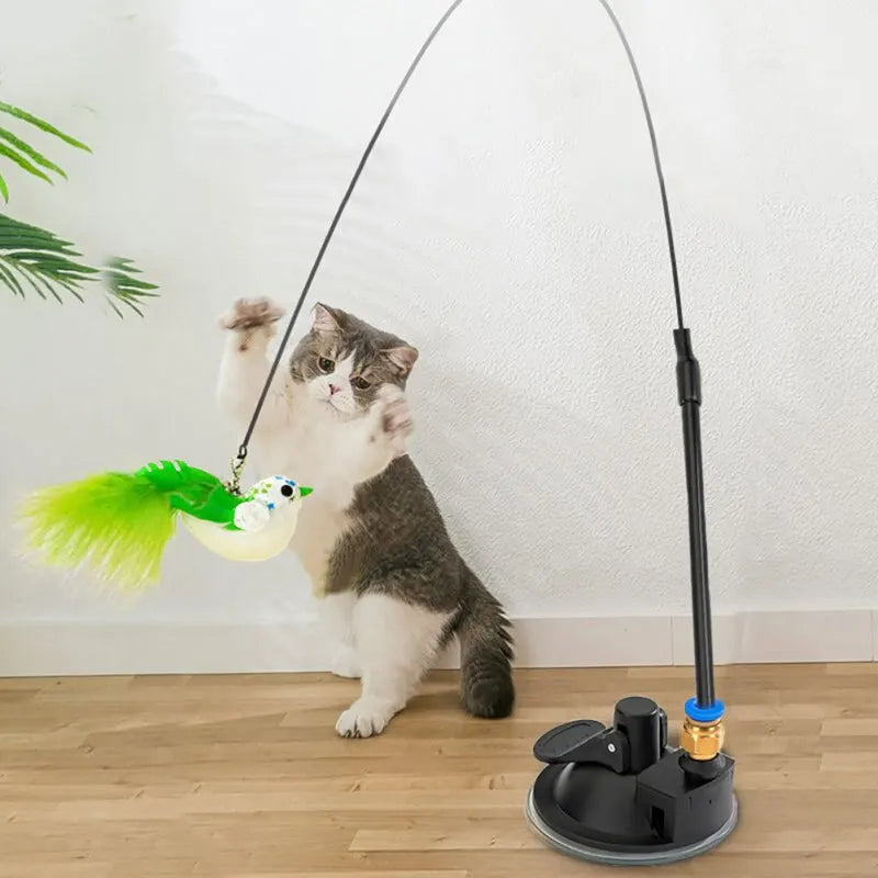 Interactive Cat Bird Feather Bell Suction Toy