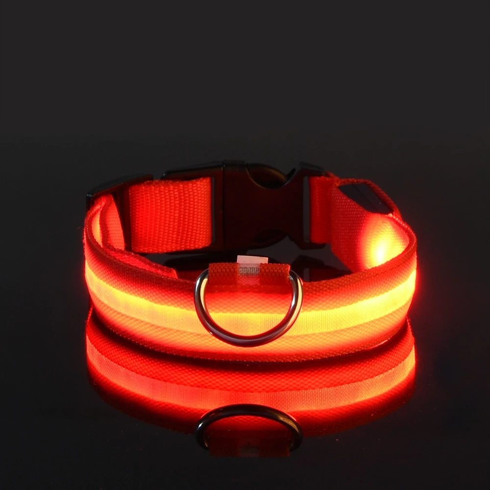 LED Glow Nylon Dog Leash