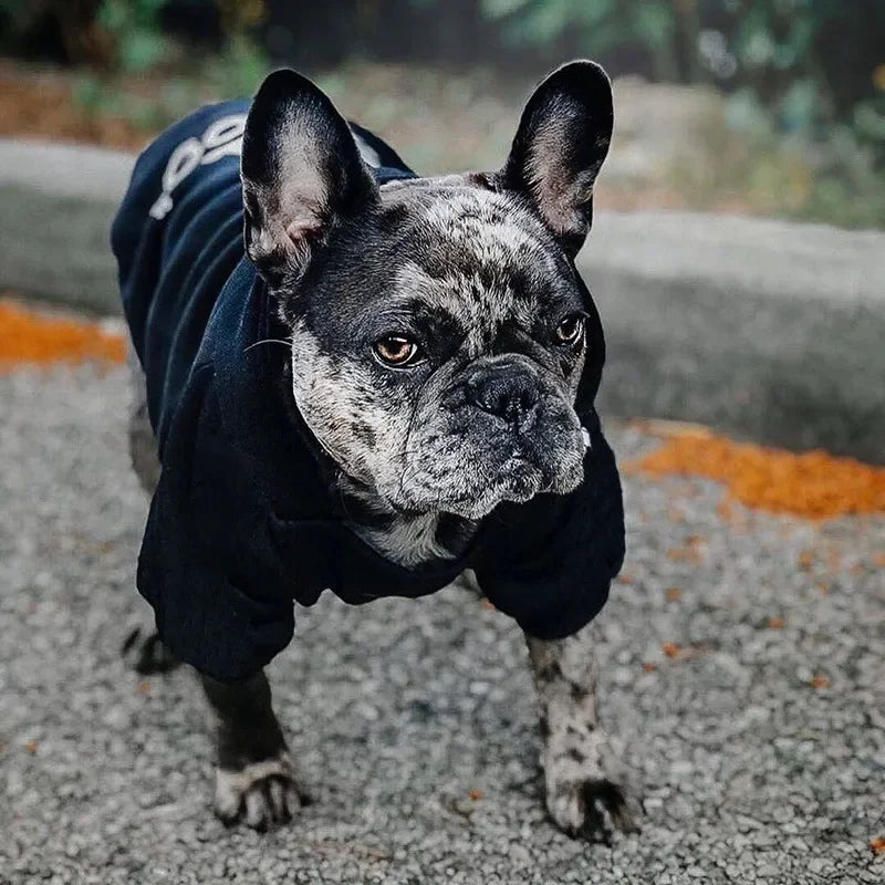 Warm Winter Dog Hoodie Jacket