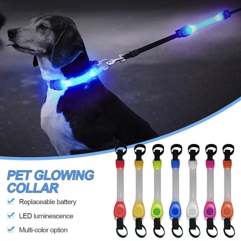 Waterproof LED glowing dog collar – flashing anti-lost safety light for night visibility
