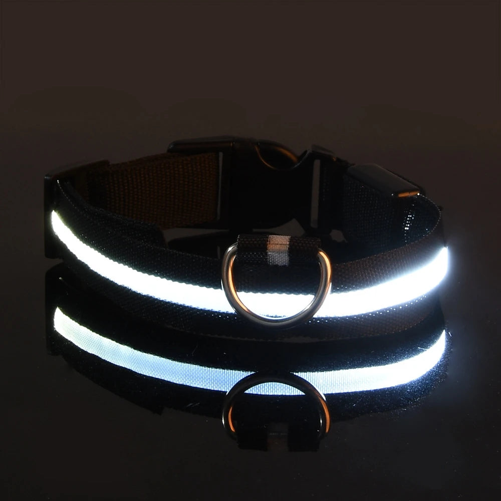 LED Glow Nylon Dog Leash