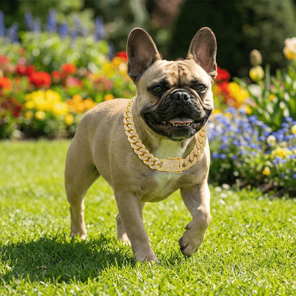 **Luxury Cuban Dog Collar **