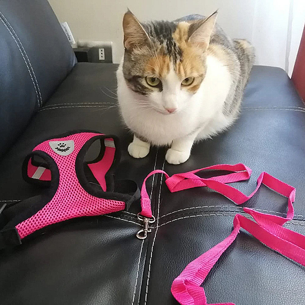 **Breathable Pet Harness Set **