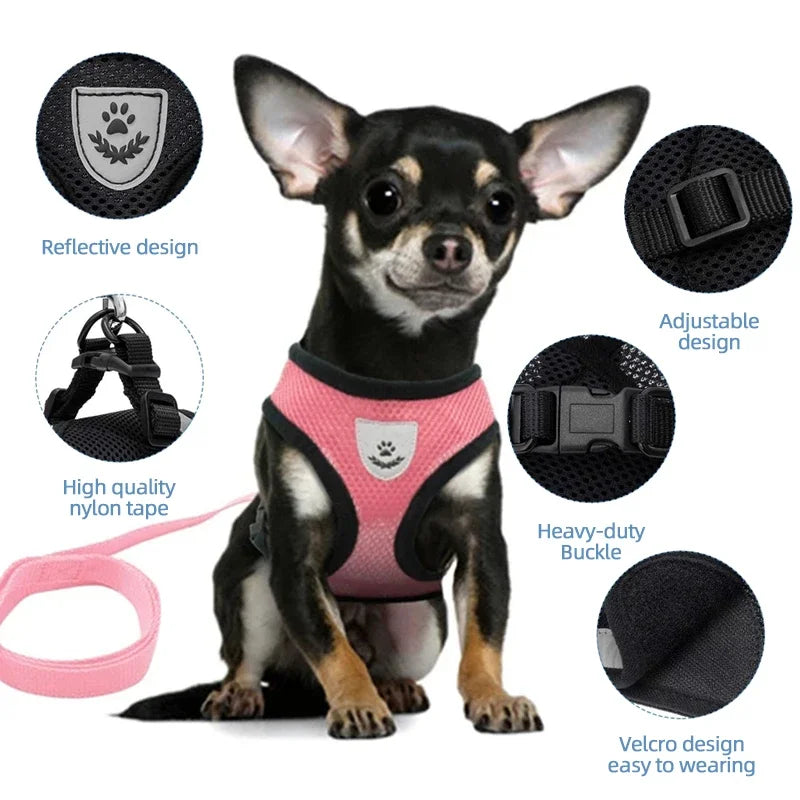 **Breathable Pet Harness Set **