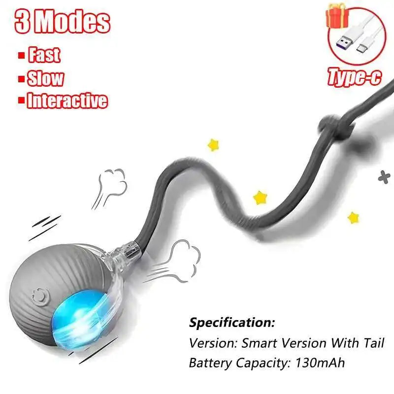 Interactive Dog Ball Toy