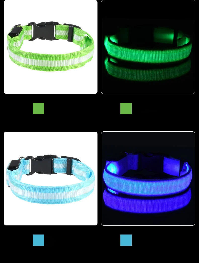 LED Glow Nylon Dog Leash