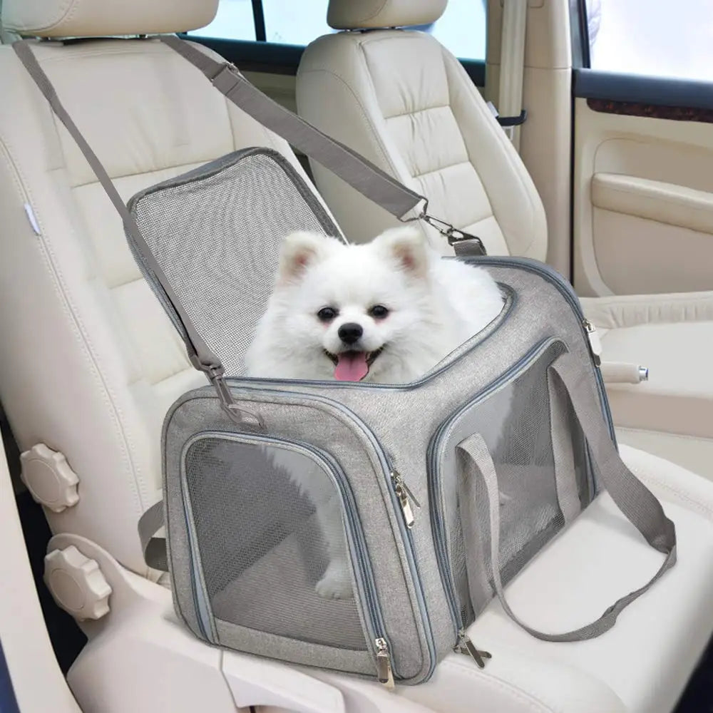 Soft-Sided Dog & Cat Carrier Backpack – Airline-Approved Travel Bag for Small Pets.