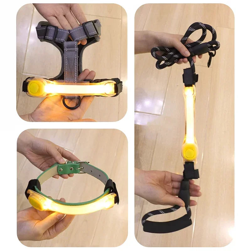 Waterproof LED glowing dog collar – flashing anti-lost safety light for night visibility
