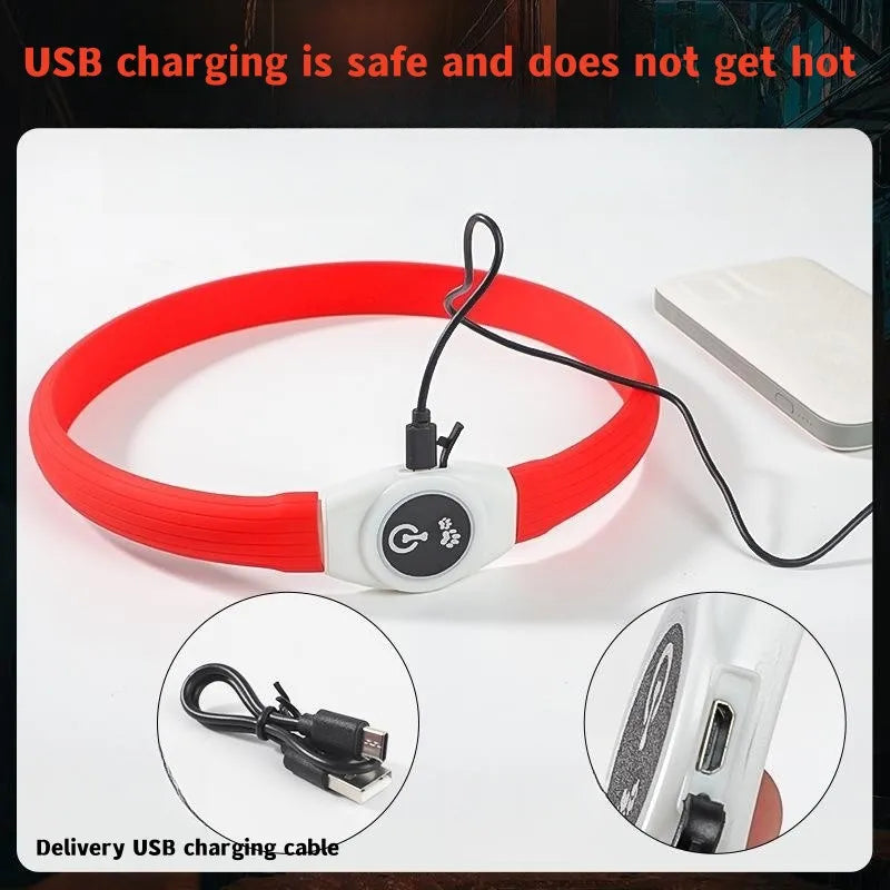 LED luminous waterproof PVC dog collar – USB rechargeable glowing safety collar for dogs of all sizes.