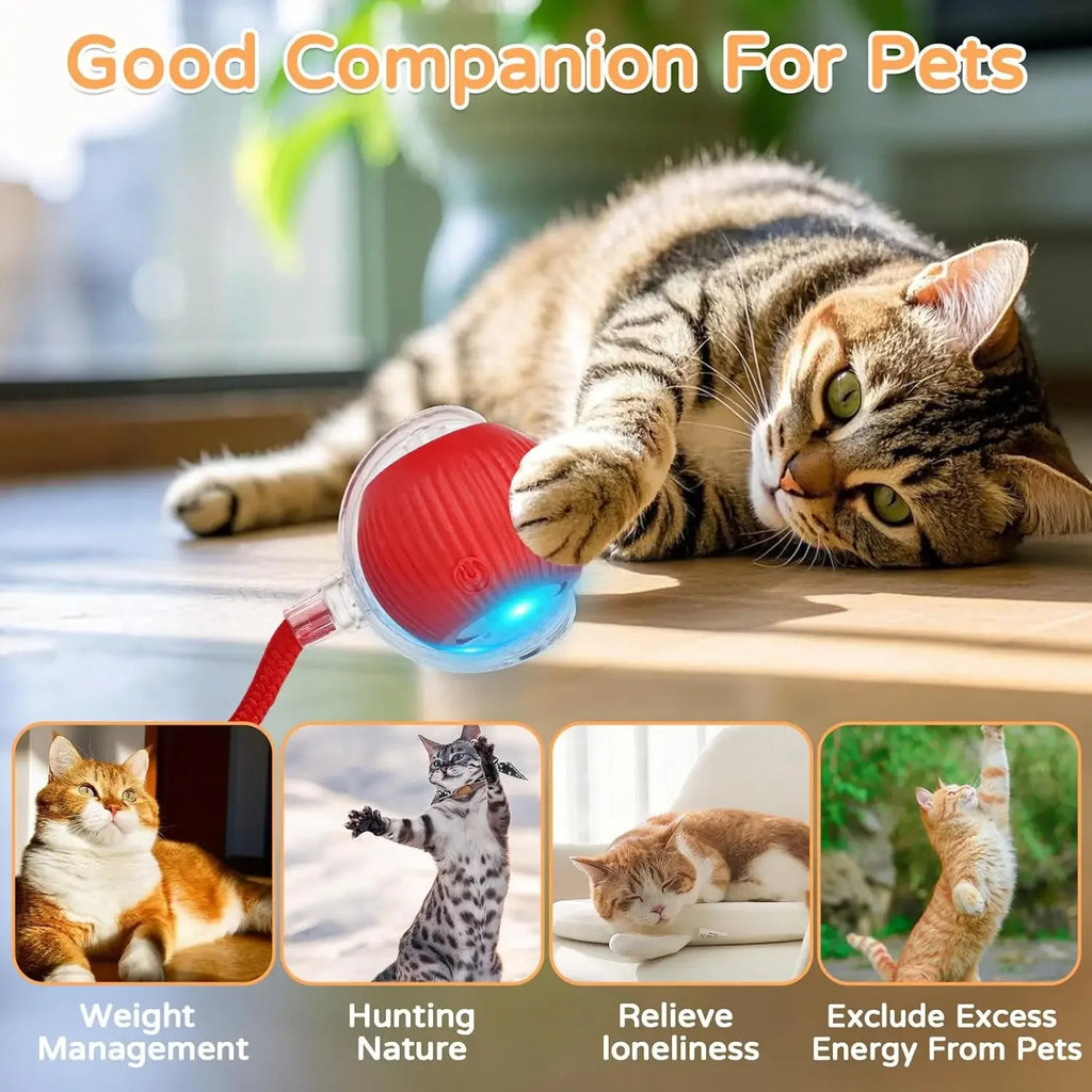Automatic Rolling Interactive Pet Ball Toy (Rechargeable Smart Toy