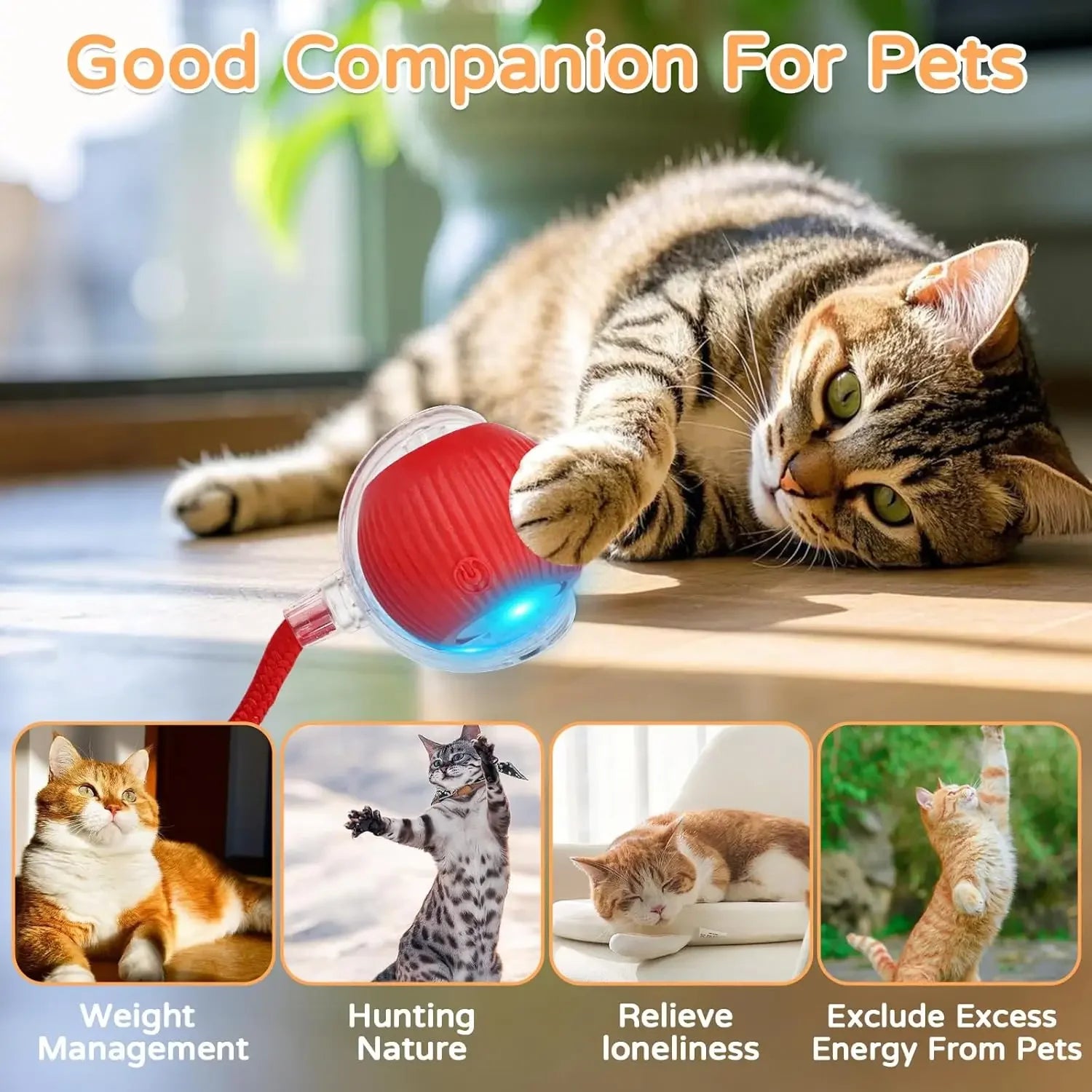 Automatic Rolling Interactive Pet Ball Toy (Rechargeable Smart Toy