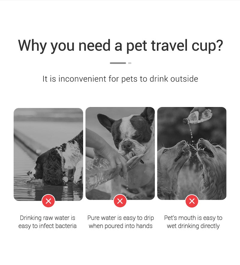 Portable Leakproof Pet Water Bottle 🐾