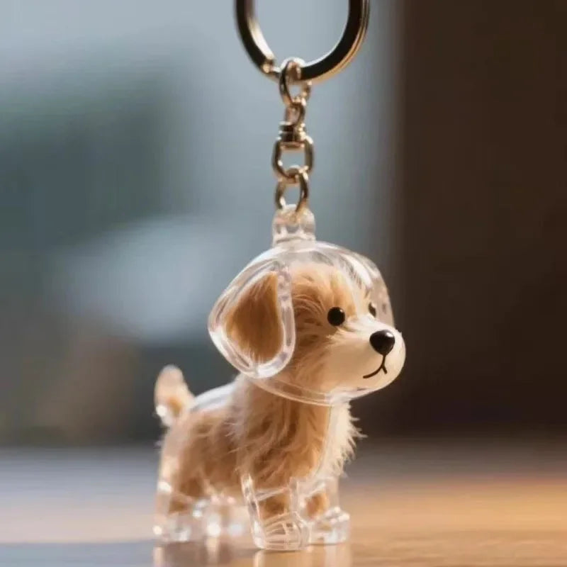 **Pet Hair Keepsake Capsule Keychain **