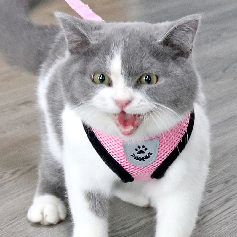 **Breathable Pet Harness Set **