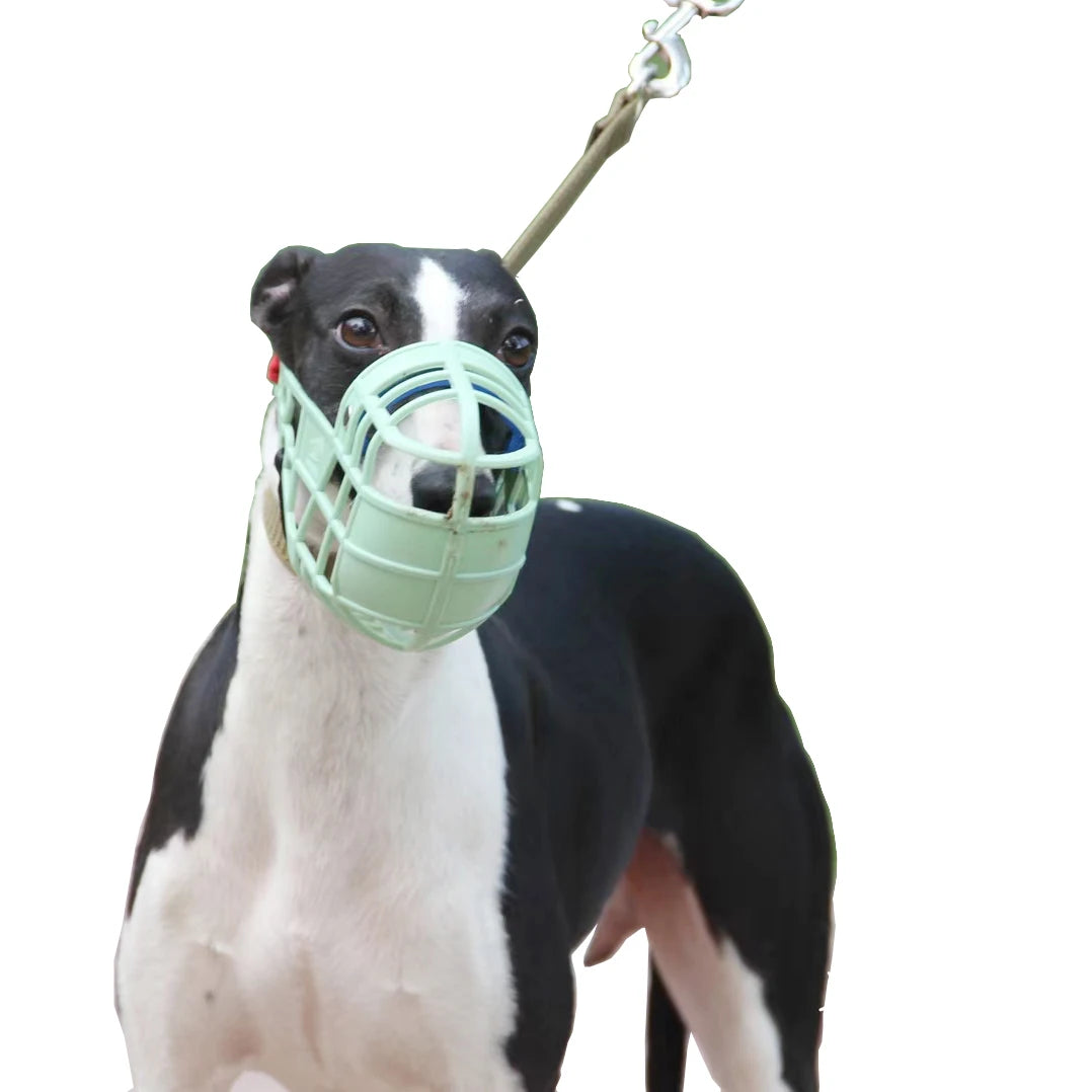 Adjustable plastic dog muzzle – anti-biting and anti-barking basket-style mouth cover for dogs in sizes S/M/L.