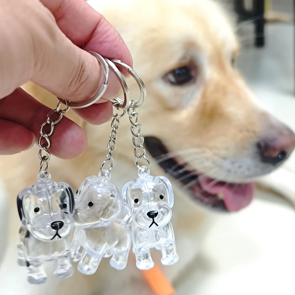 **Pet Hair Keepsake Capsule Keychain **