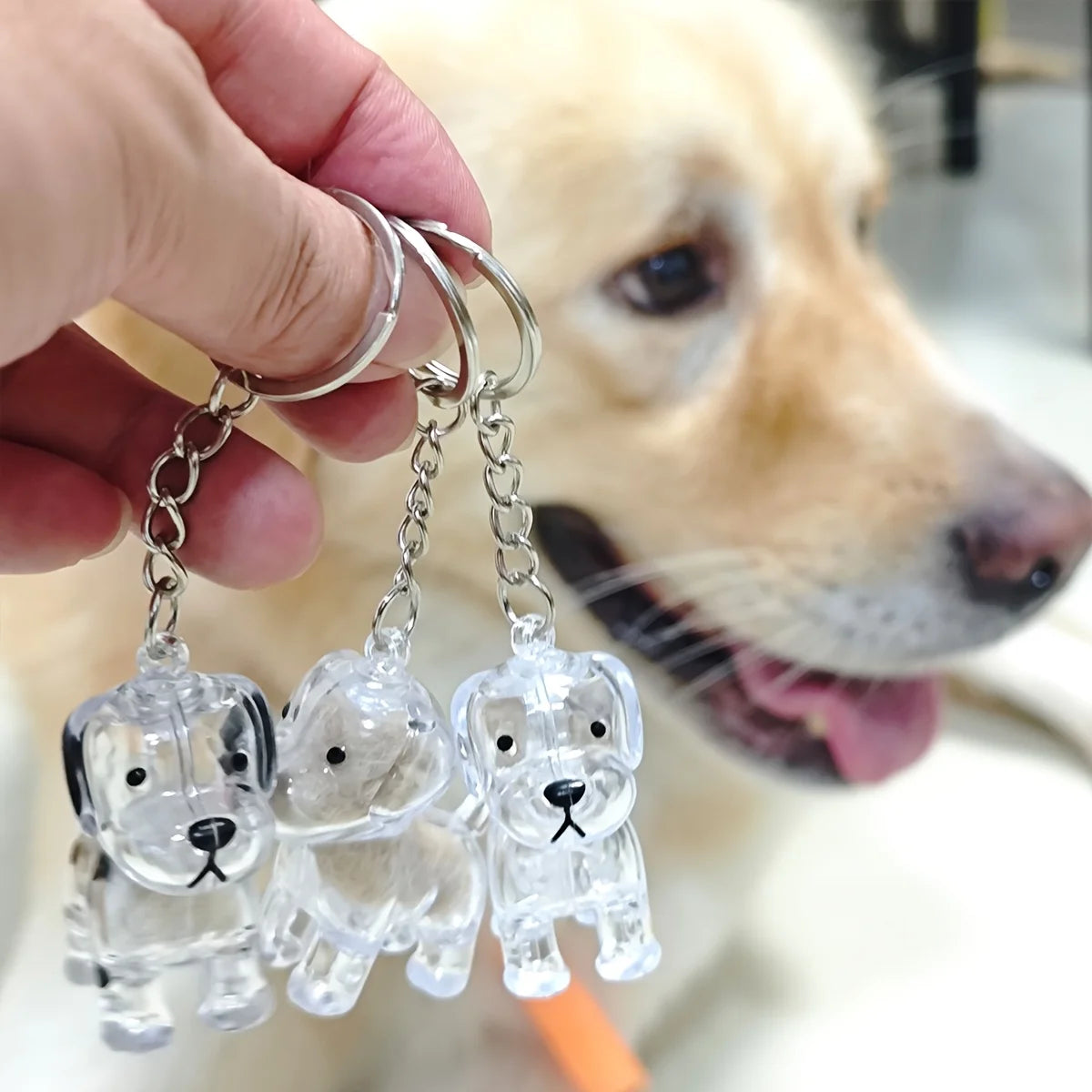 **Pet Hair Keepsake Capsule Keychain **