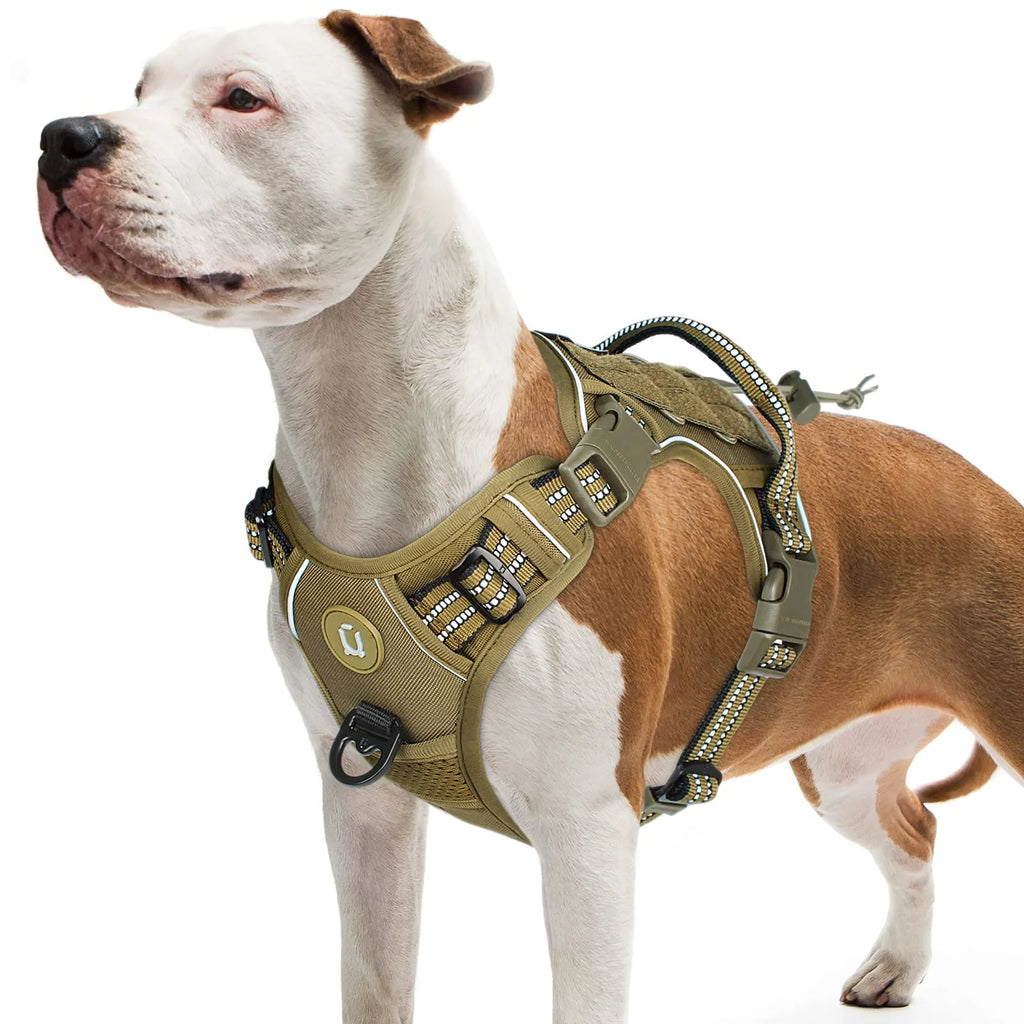 Tactical no-pull MOLLE dog harness – adjustable and reflective.