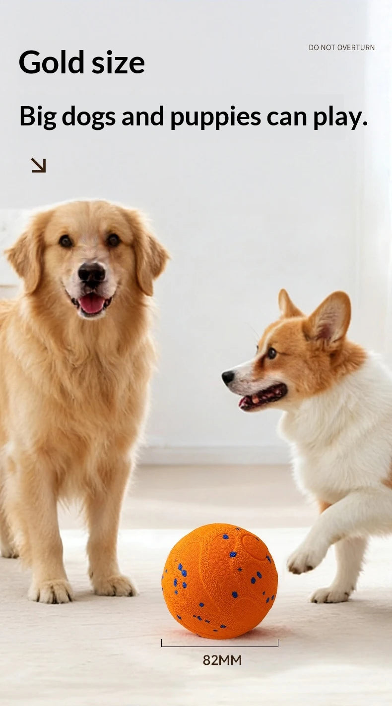 Smart LED Interactive Pet Ball