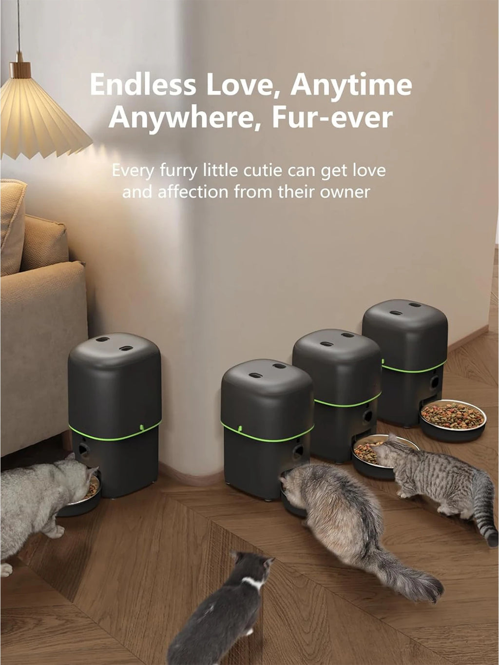 Smart Automatic Cat Feeder with Camera