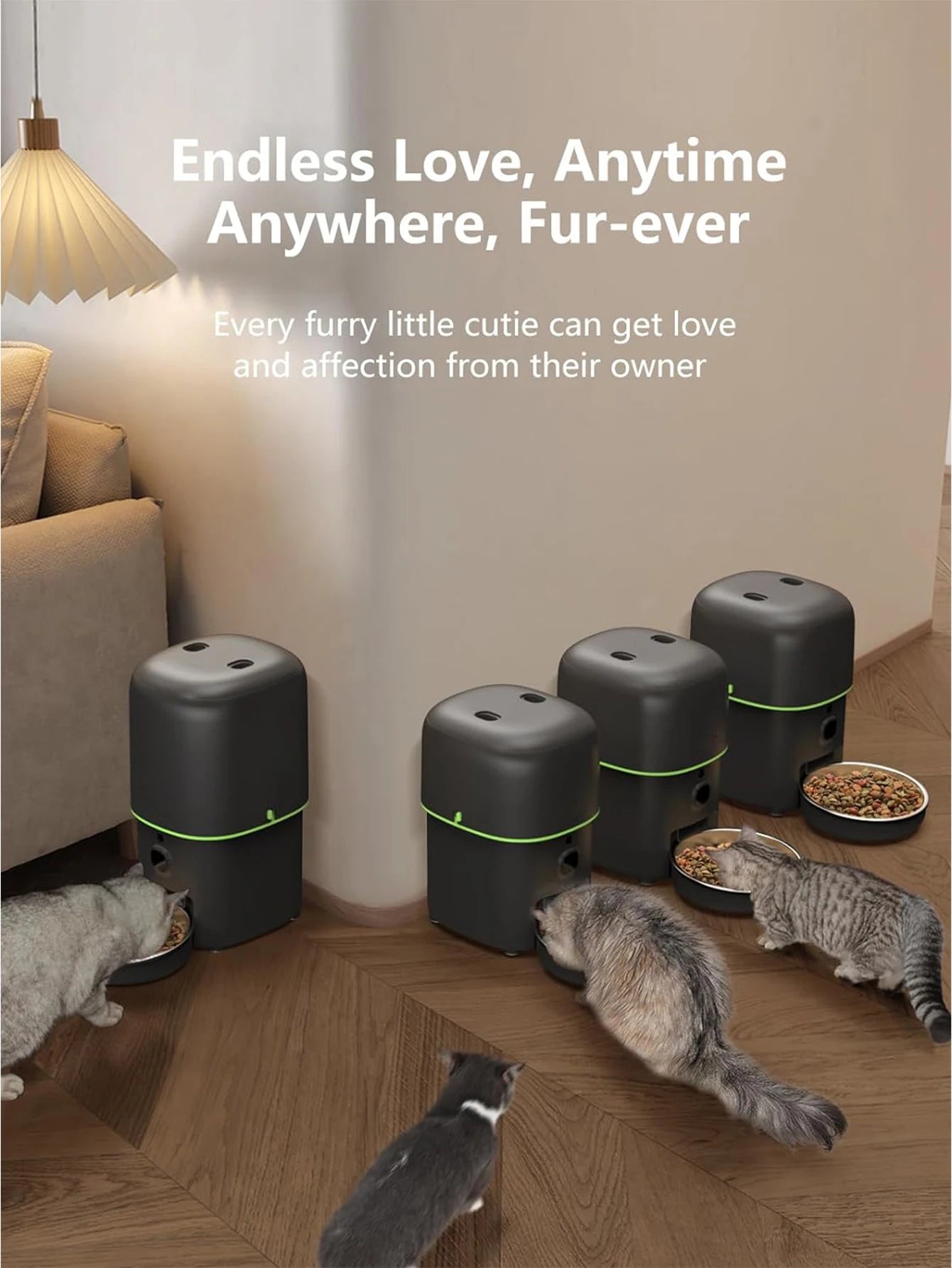 Smart Automatic Cat Feeder with Camera
