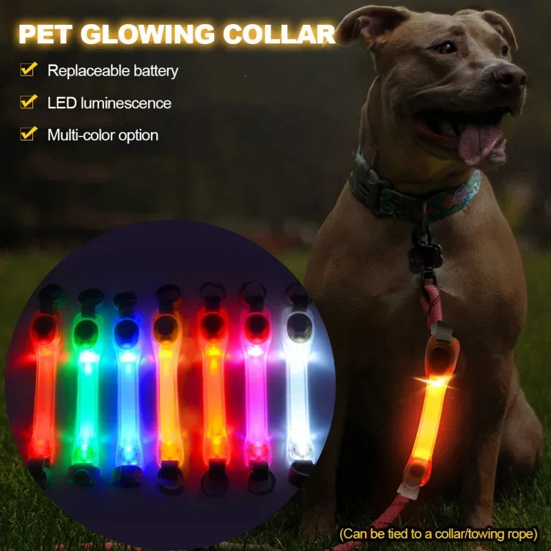 Waterproof LED glowing dog collar – flashing anti-lost safety light for night visibility