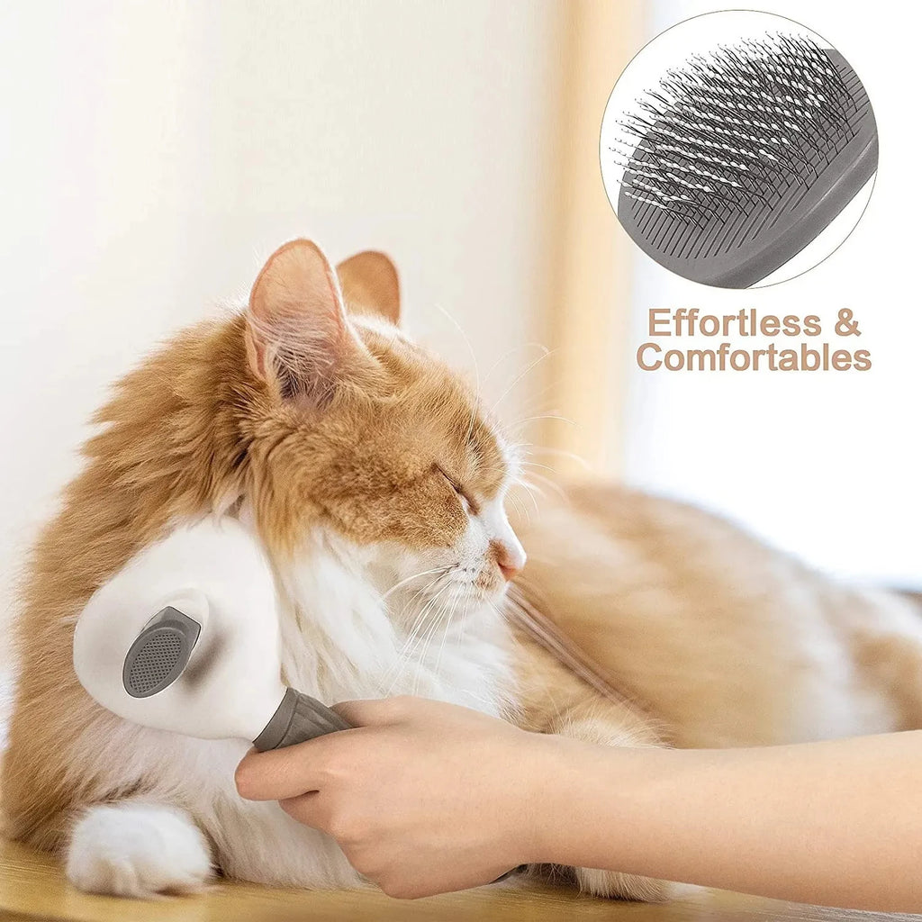 CleanPaw Brush