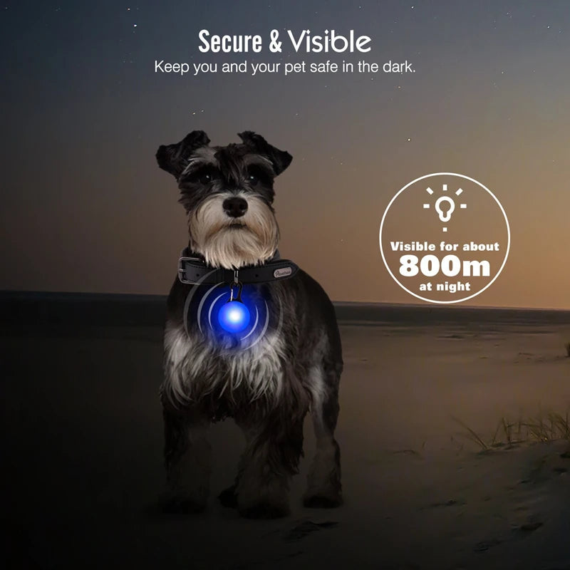 Usb Charging Glowing Dog Collar With Pendant Detachable Luxury Led Light Bright For Small Dogs Cat Night Safety Collar Wholesale
