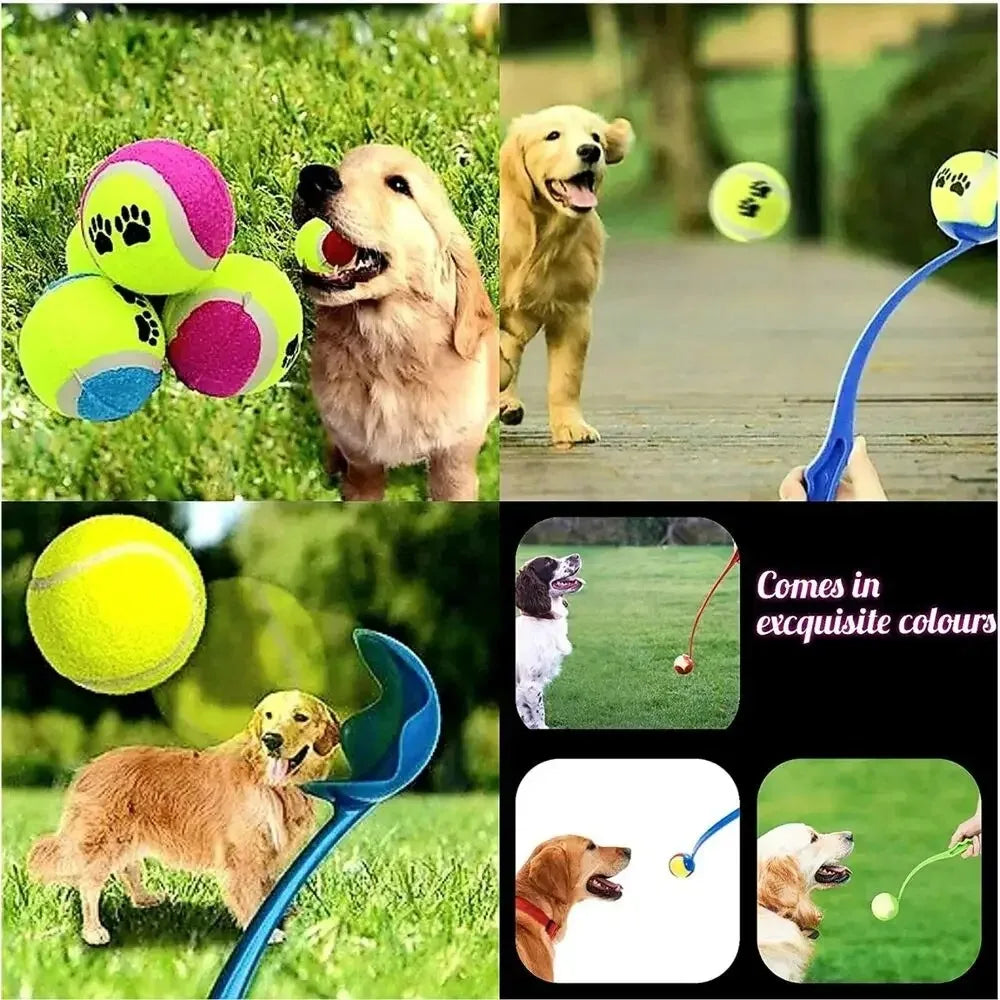 Pet Throwing Stick for Dogs – Tennis Ball Launcher Toy for Outdoor Play and Training.