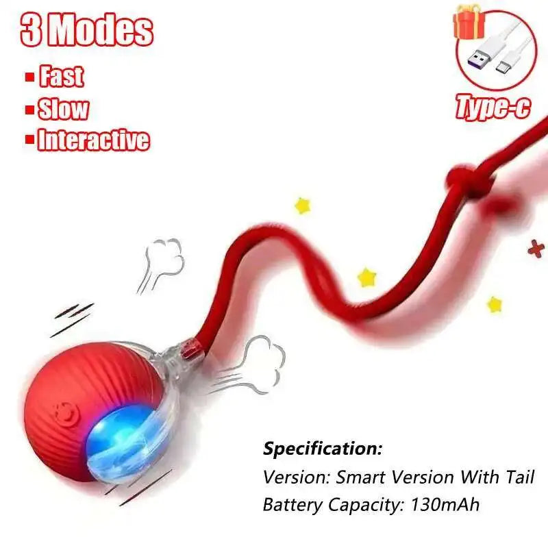 Interactive Dog Ball Toy