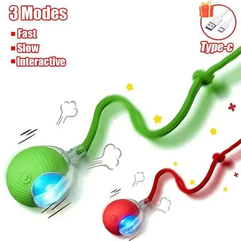 Interactive Dog Ball Toy