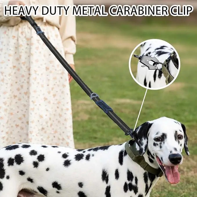 Reflective Shock Absorbing Dog Leash with Seatbelt