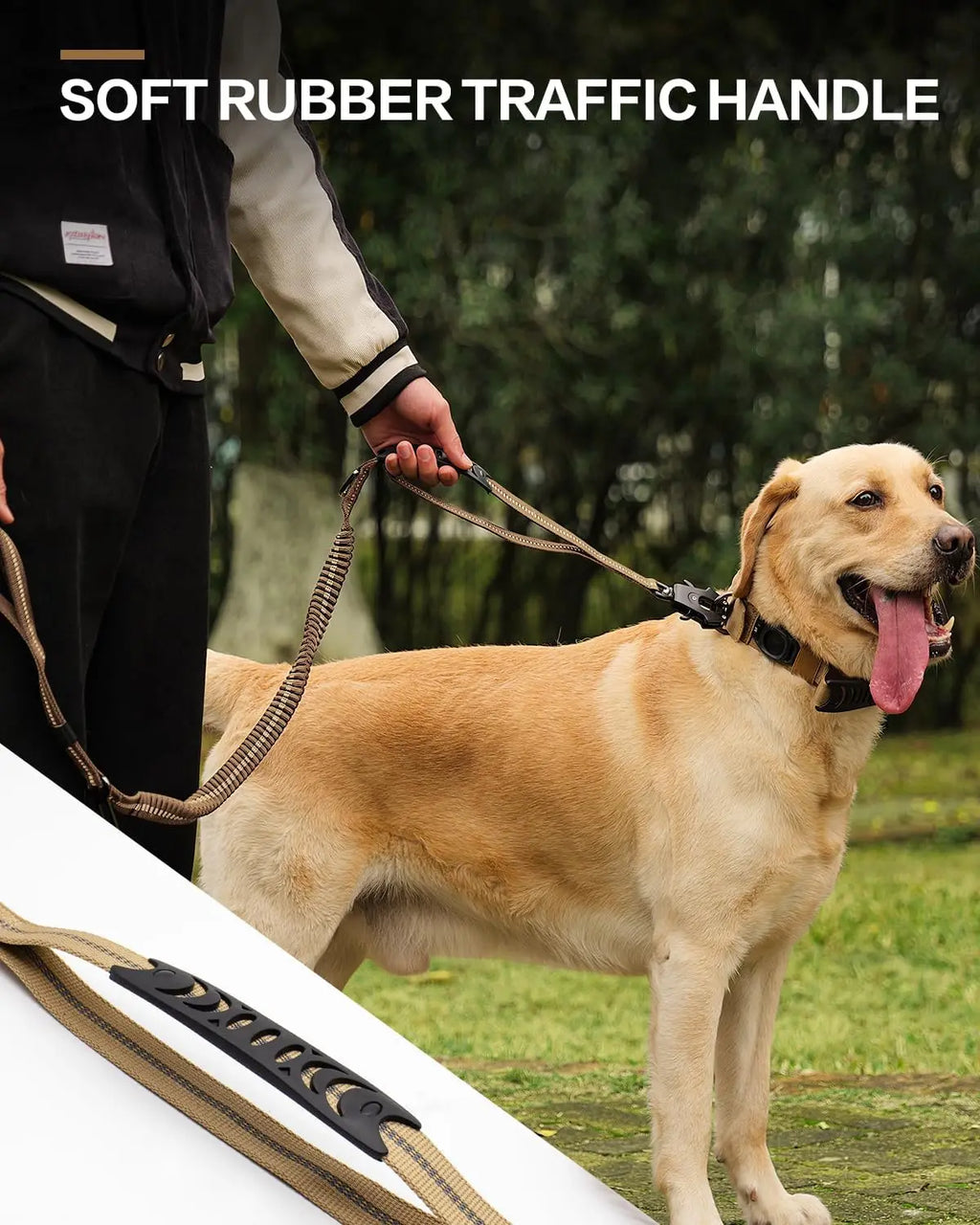 Reflective Shock Absorbing Dog Leash with Seatbelt