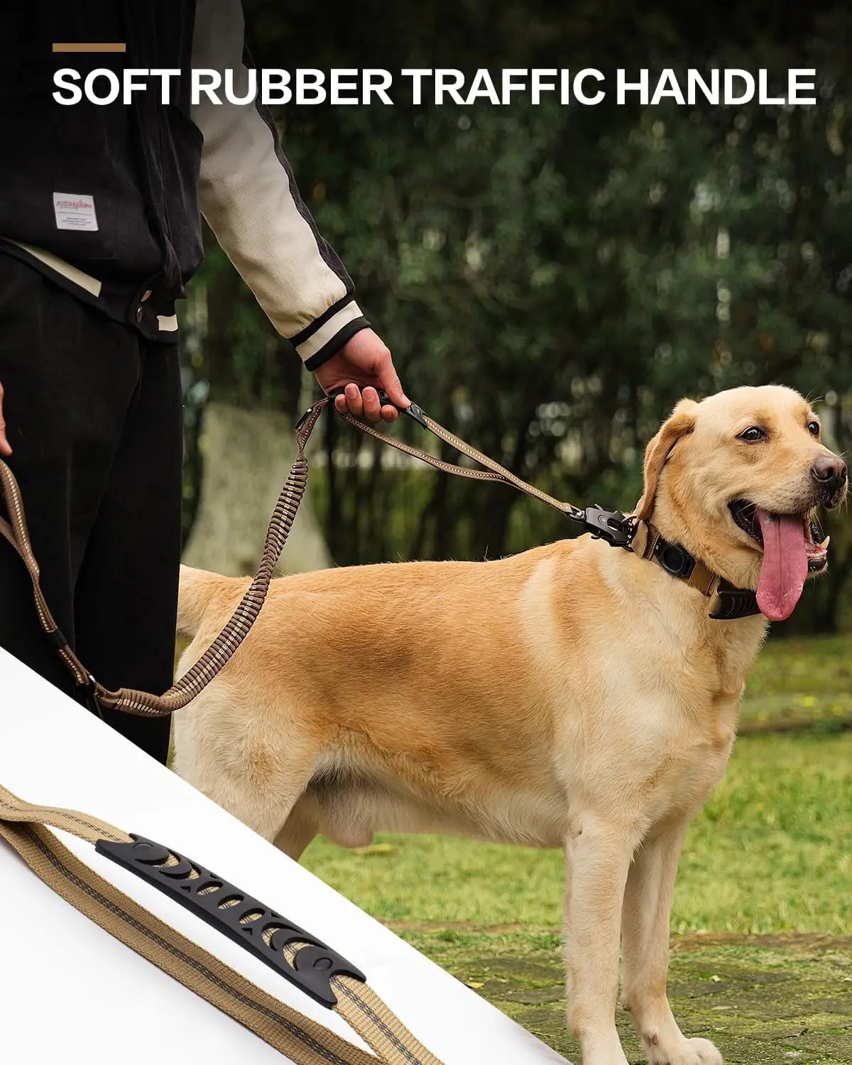 Reflective Shock Absorbing Dog Leash with Seatbelt