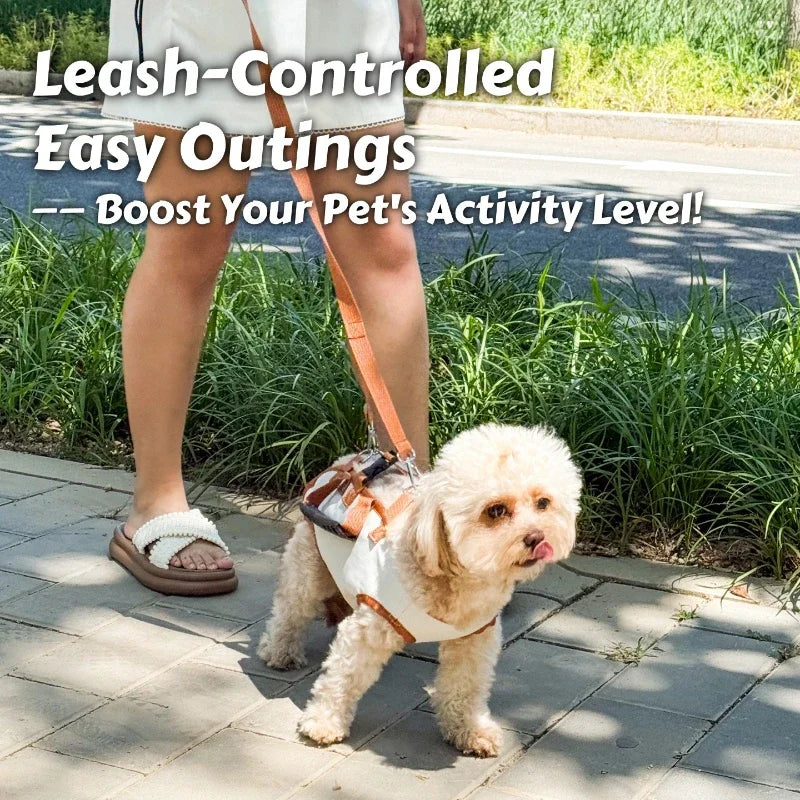 Small dog carrier backpack with breathable, escape-proof harness.