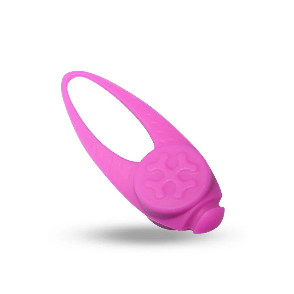 LED silicone pet pendant – flashing glow light collar accessory for dogs, safe and luminous for night visibility.