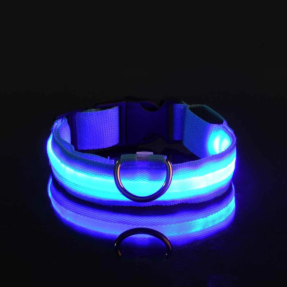 LED Glow Nylon Dog Leash