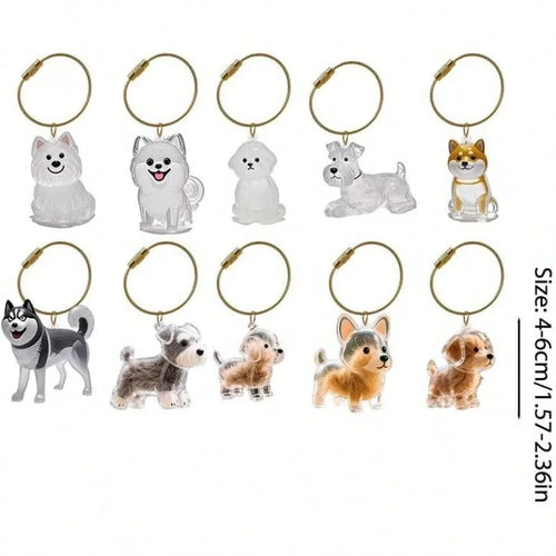 **Pet Hair Keepsake Capsule Keychain **