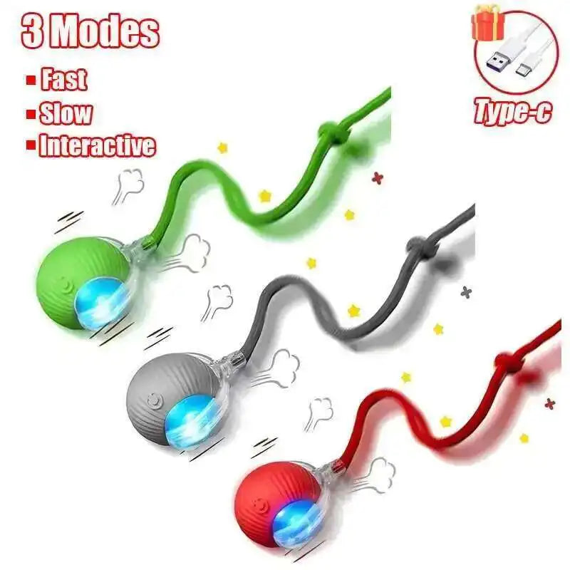 Interactive Dog Ball Toy