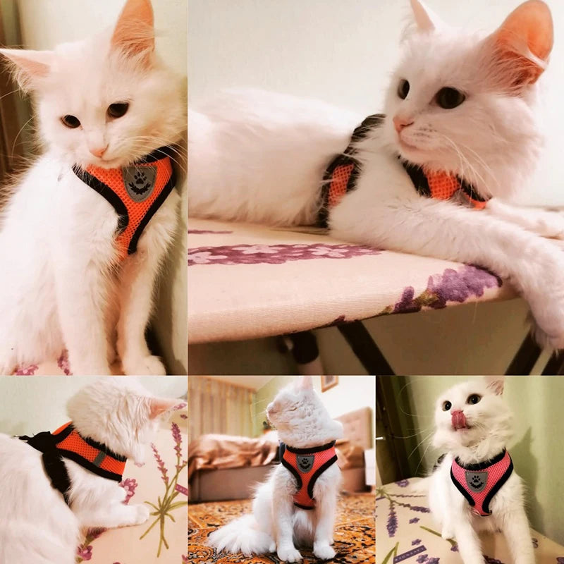 **Breathable Pet Harness Set **