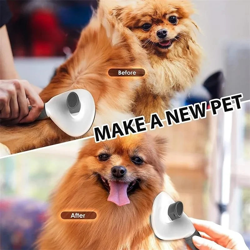 CleanPaw Brush