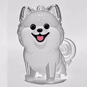 **Pet Hair Keepsake Capsule Keychain **