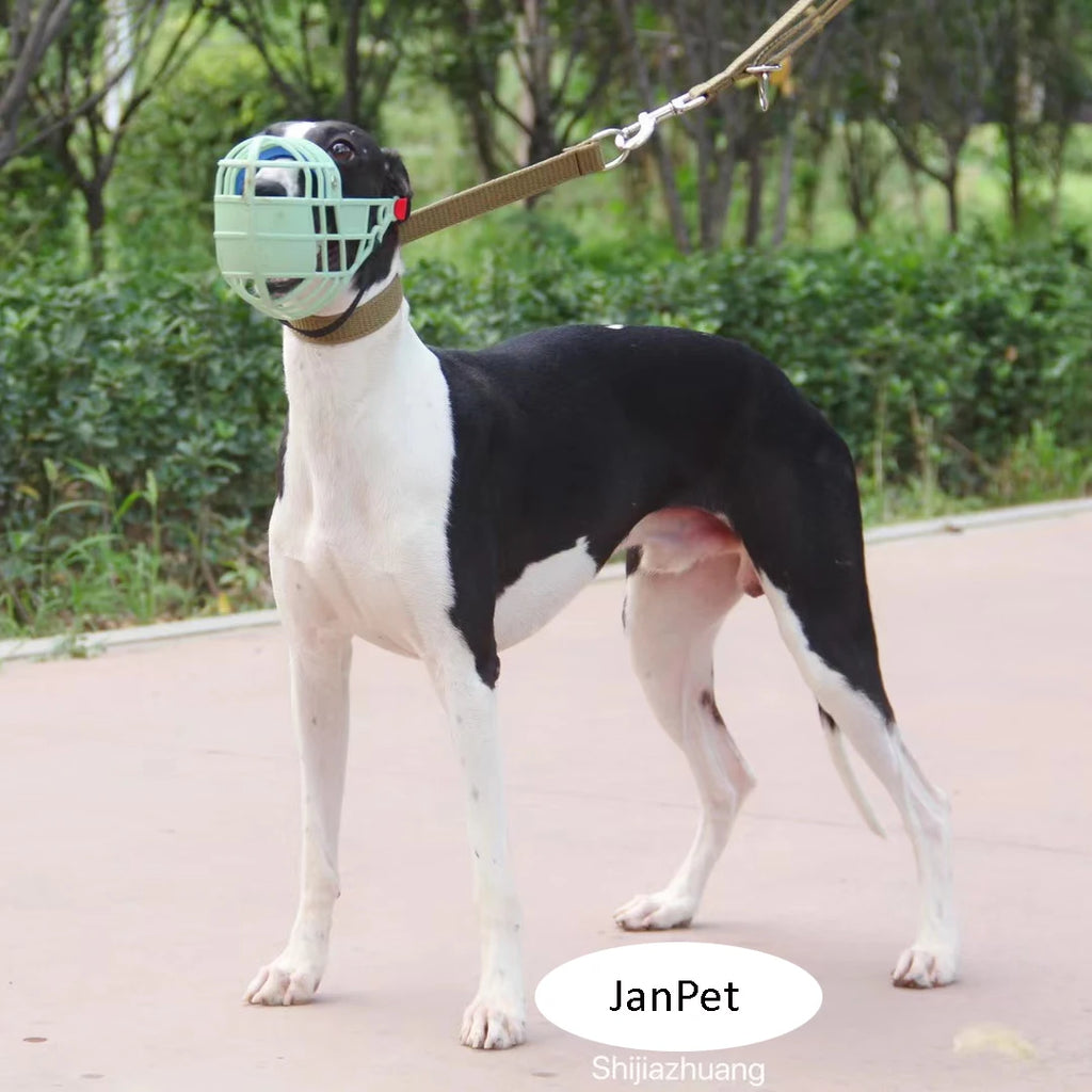 Adjustable plastic dog muzzle – anti-biting and anti-barking basket-style mouth cover for dogs in sizes S/M/L.