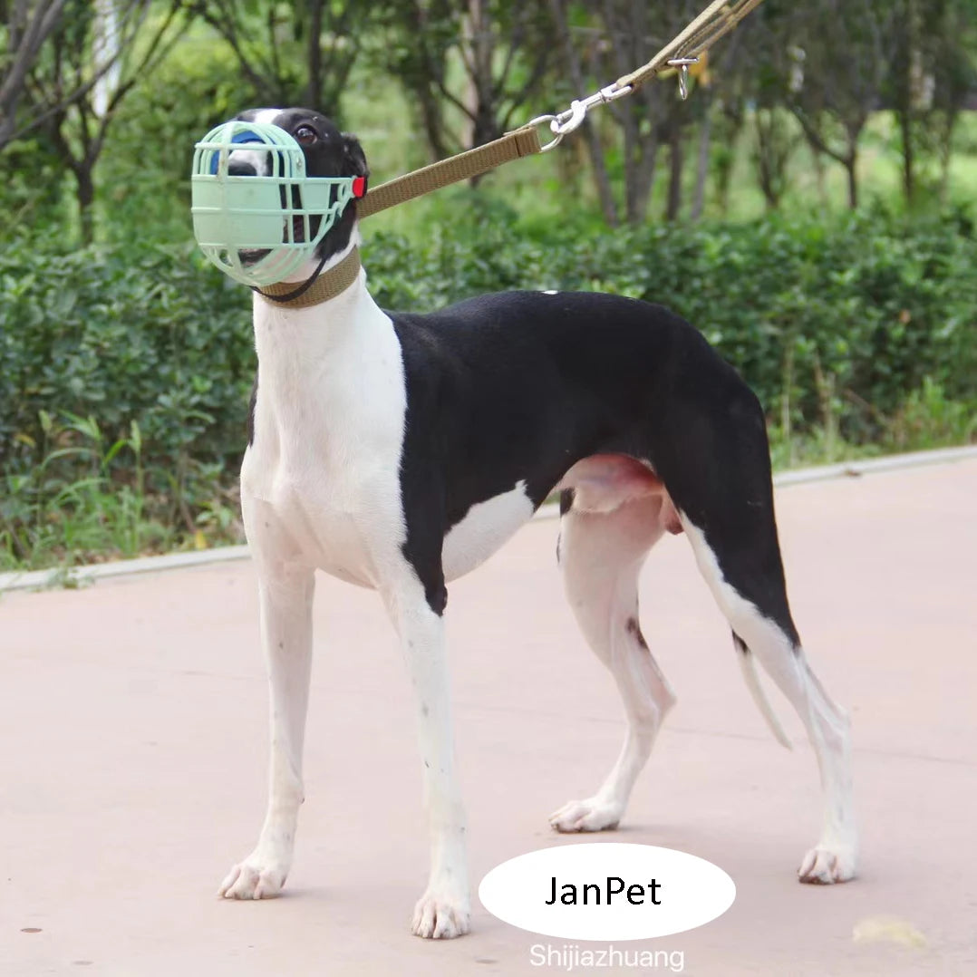 Adjustable plastic dog muzzle – anti-biting and anti-barking basket-style mouth cover for dogs in sizes S/M/L.