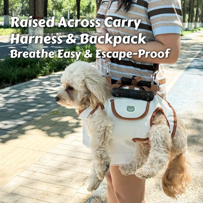 Small dog carrier backpack with breathable, escape-proof harness.