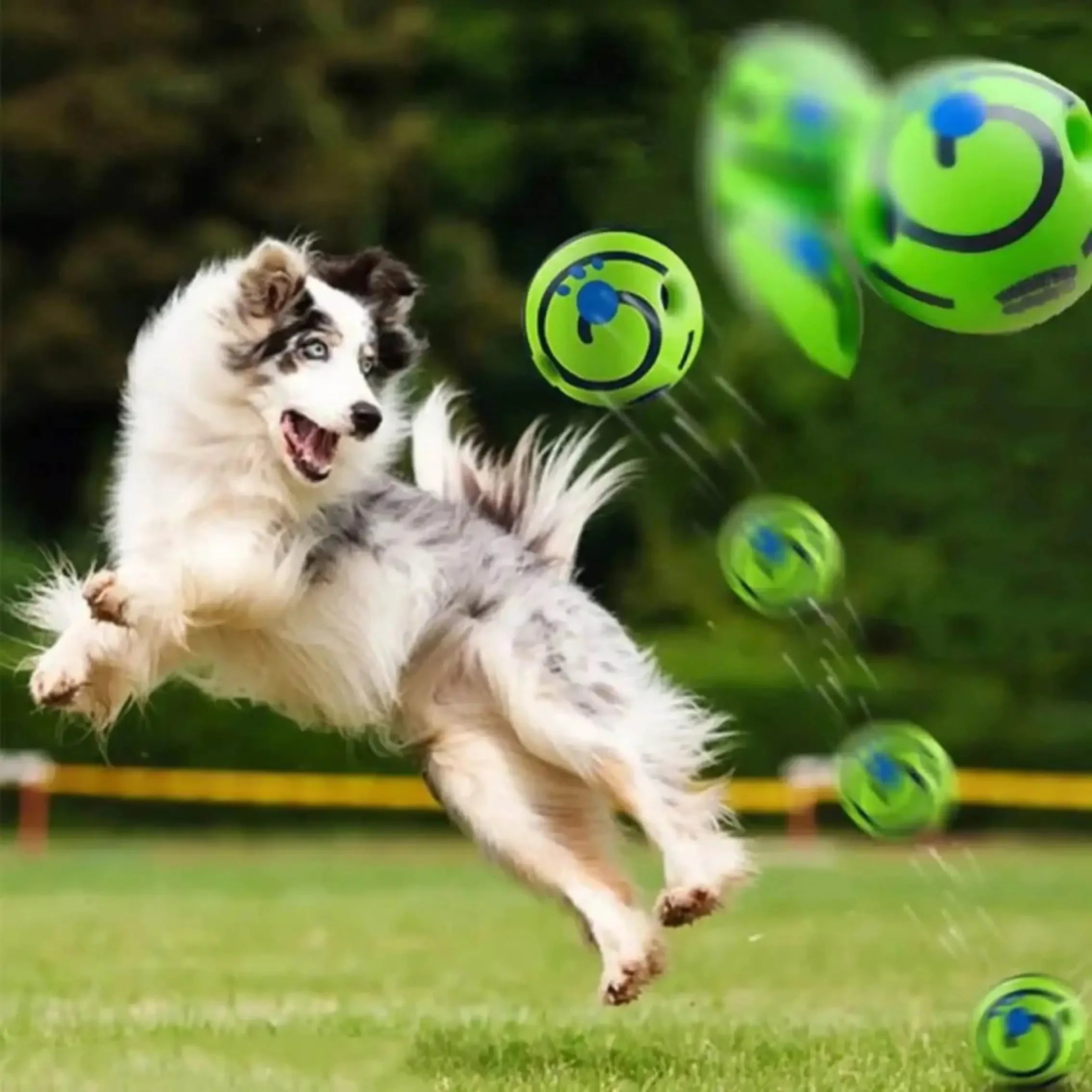 Interactive giggle ball for dogs – mental stimulation and exercise toy for fun play.