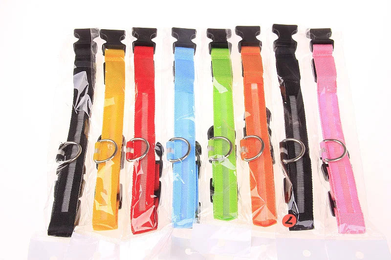 LED Glow Nylon Dog Leash